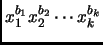 $ x_1^{b_1}x_2^{b_2}\cdots x_k^{b_k}$